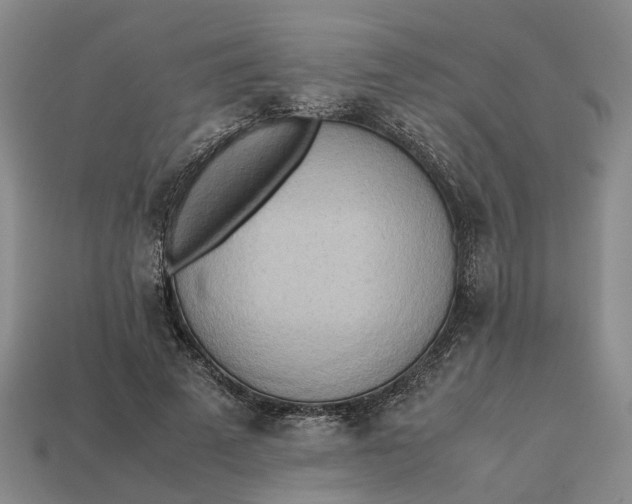 X0000112970689200909171319