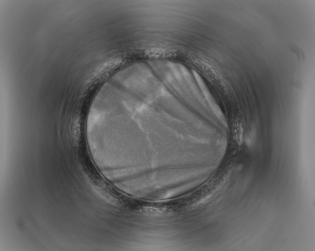 X0000112970690200909171318