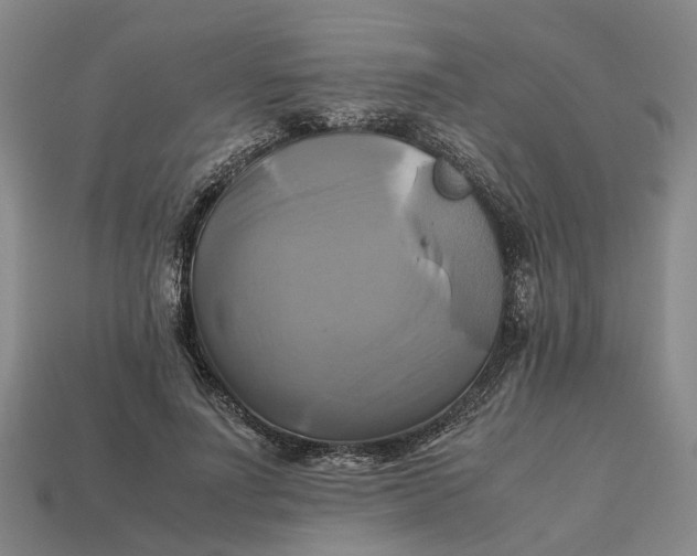 X0000112970691200909171318