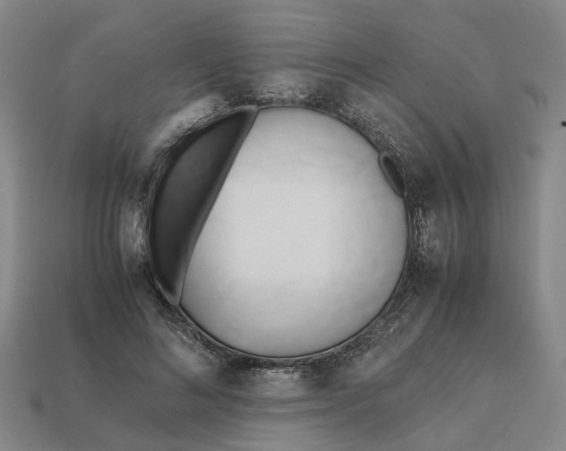 X0000112970692200909171318