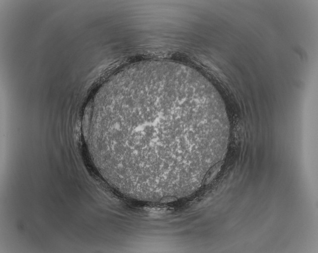 X0000112970693200909171318