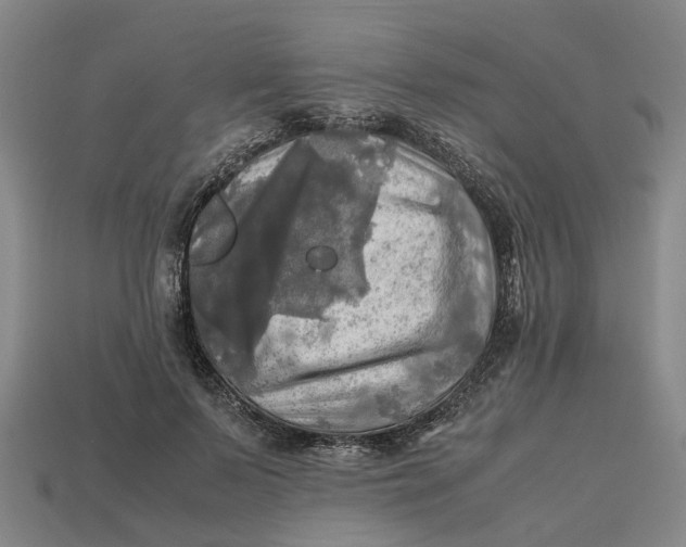 X0000112970695200909171318