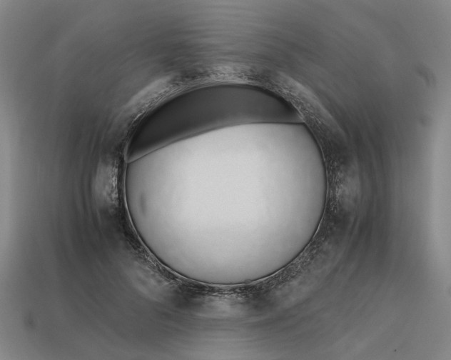 X0000112970696200909171318