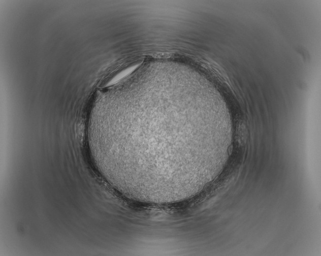 X0000112970697200909171318