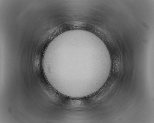 X0000112970698200909171318