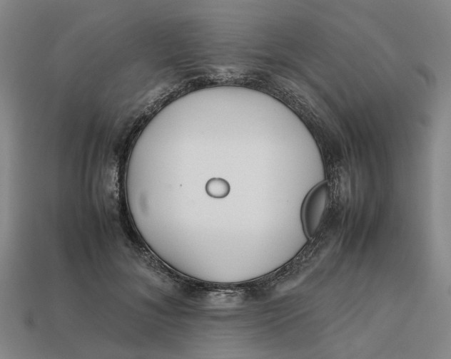 X0000112970700200909171318