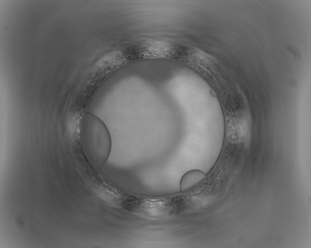 X0000112970701200909171318