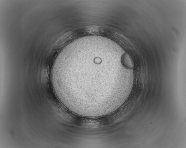 X0000112970702200909171318