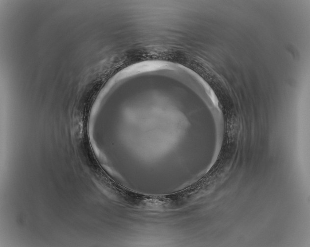 X0000112970703200909171318