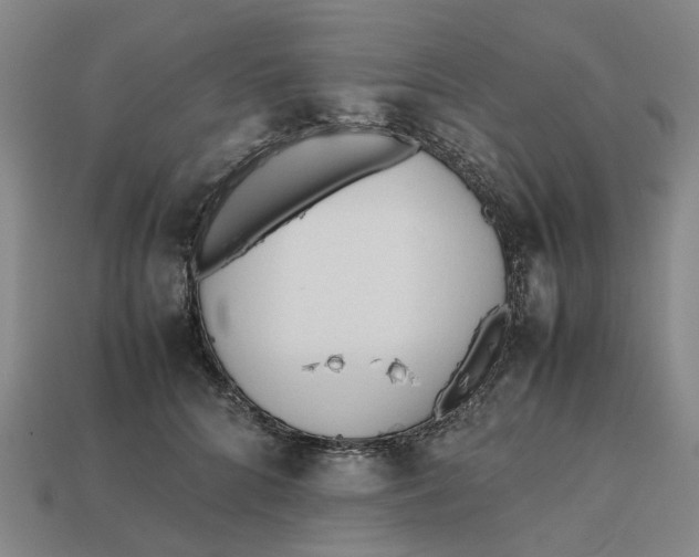 X0000112970704200909171318