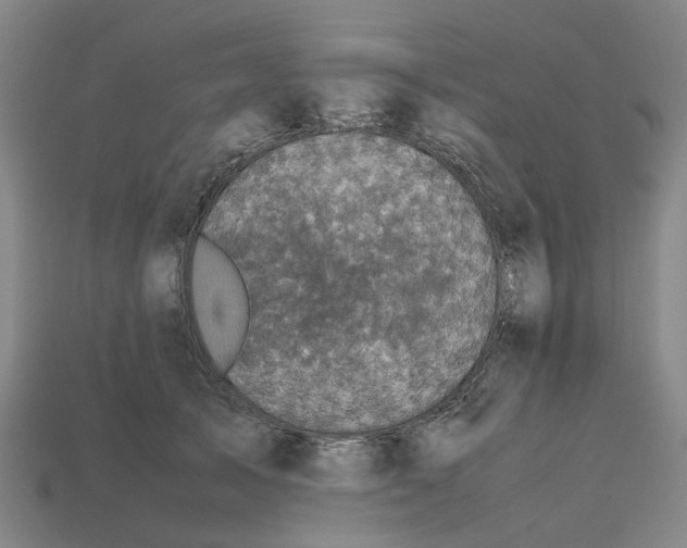 X0000112970705200909171318