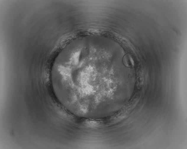 X0000112970706200909171318