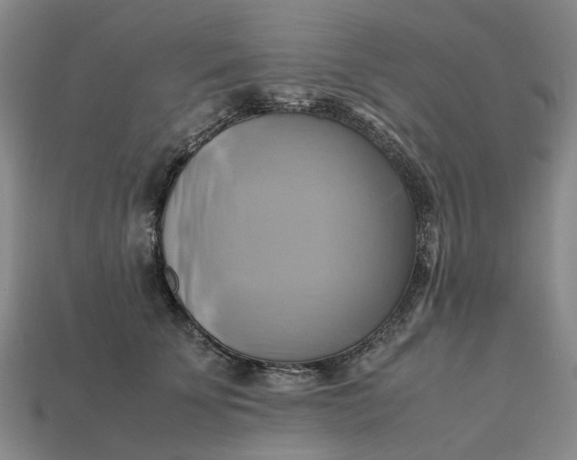 X0000112970707200909171318