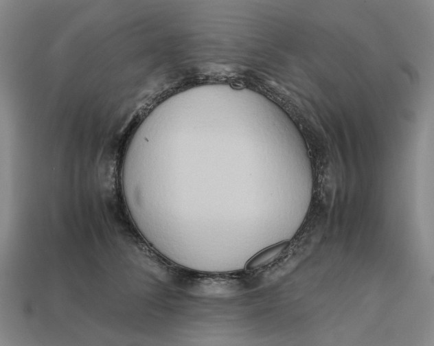 X0000112970708200909171318