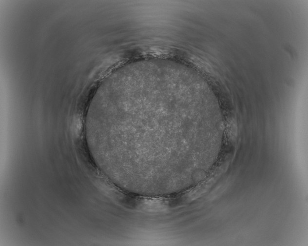 X0000112970709200909171318