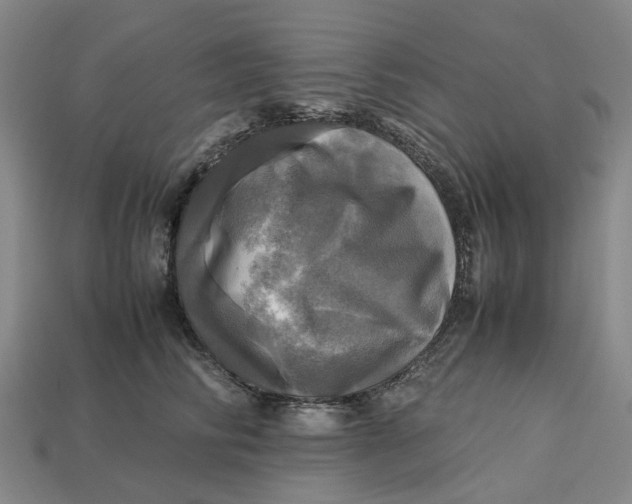 X0000112970710200909171318