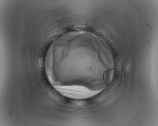 X0000112970711200909171318