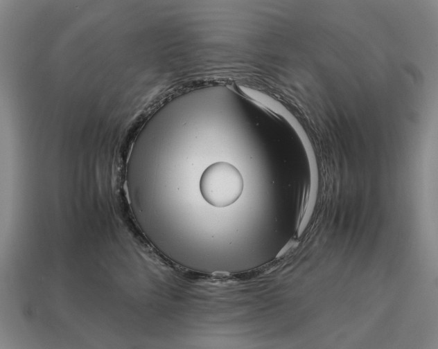 X0000112970712200909171318