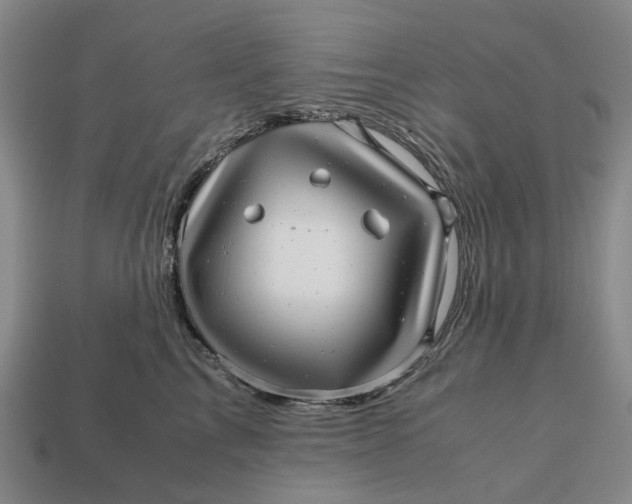 X0000112970713200909171318