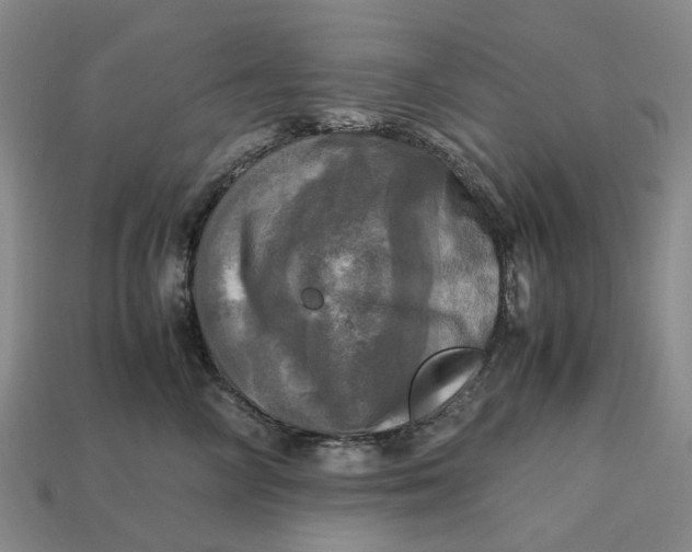 X0000112970714200909171318