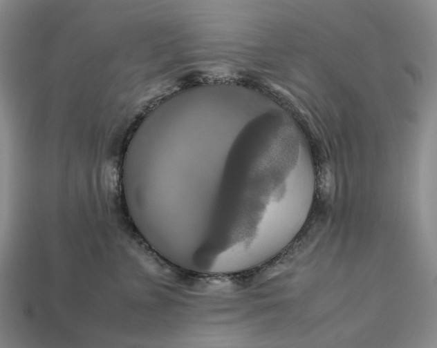 X0000112970715200909171318