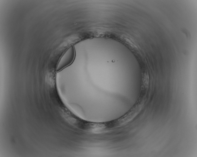 X0000112970719200909171318