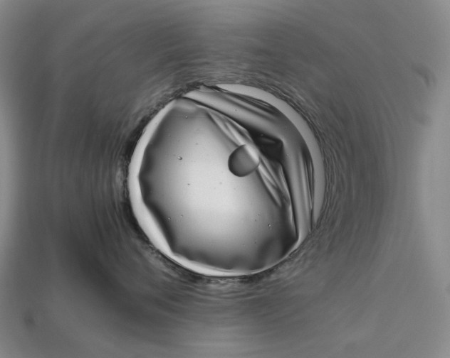 X0000112970720200909171318