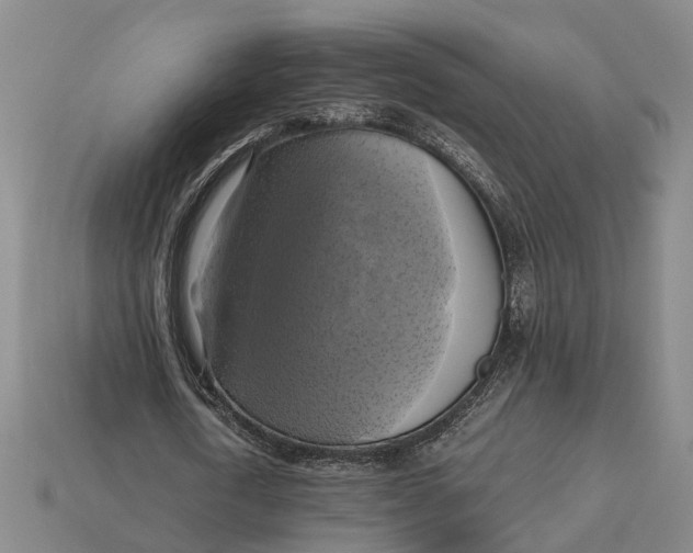 X0000112970722200909171317