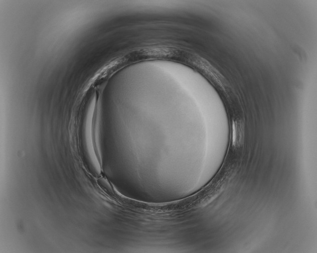 X0000112970723200909171317