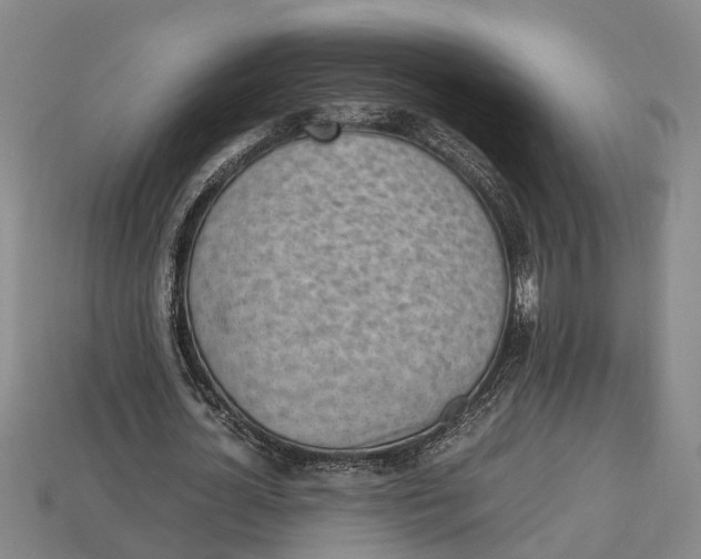 X0000112970724200909171317