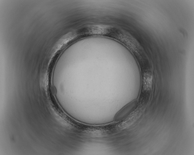 X0000112970726200909171317