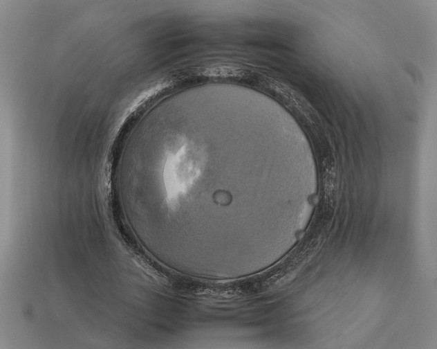 X0000112970727200909171317