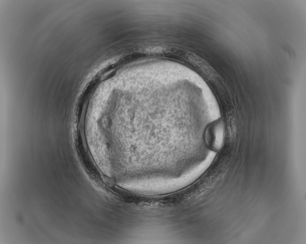 X0000112970728200909171318