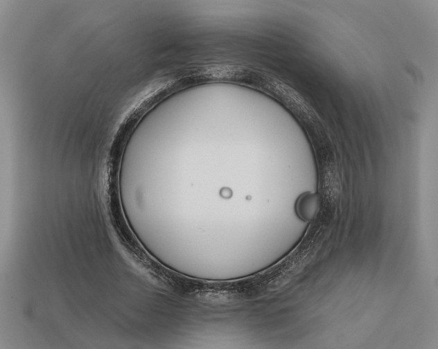 X0000112970730200909171318