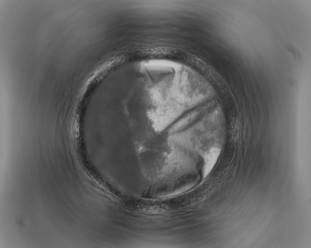 X0000112970731200909171318