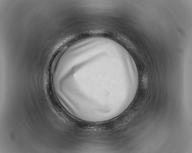 X0000112970732200909171318