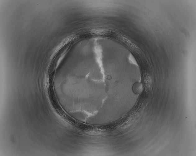 X0000112970734200909171318