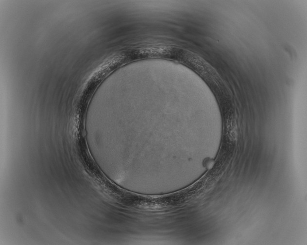 X0000112970735200909171318