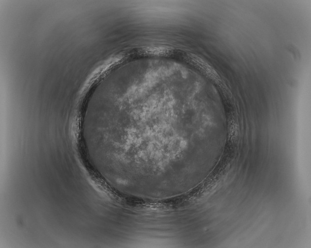 X0000112970736200909171318