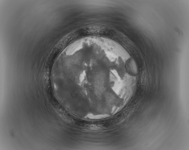 X0000112970737200909171318