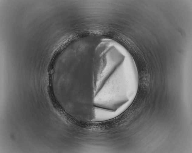 X0000112970738200909171318