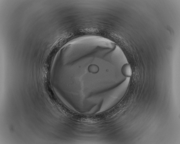 X0000112970739200909171318