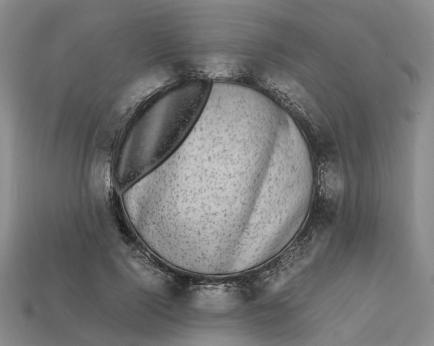 X0000112970740200909171318