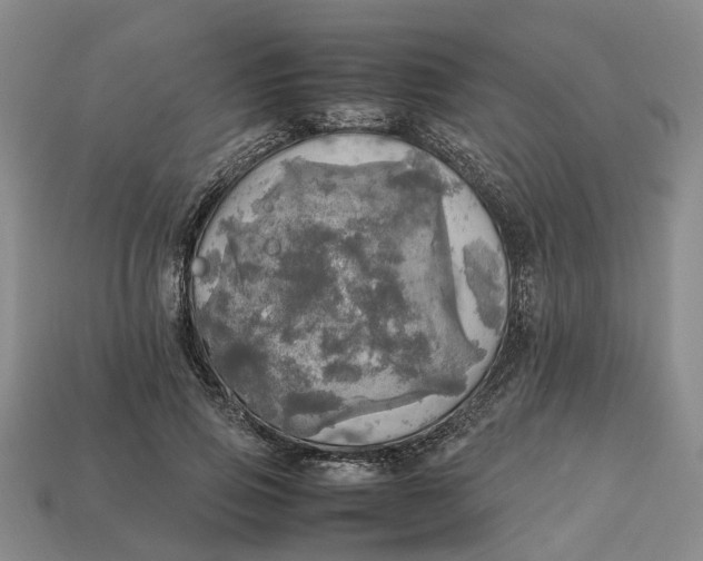 X0000112970741200909171318