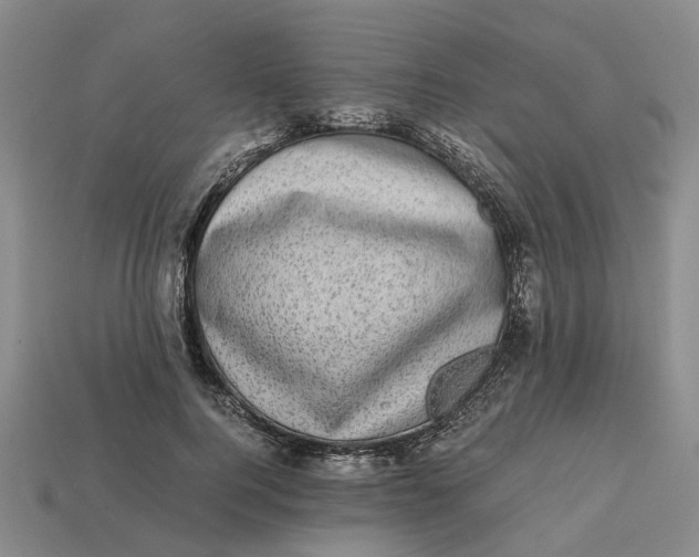 X0000112970744200909171318