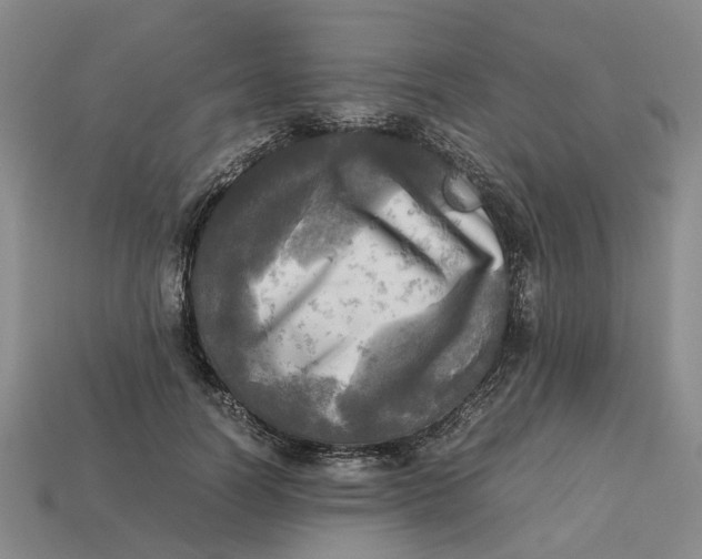 X0000112970746200909171318