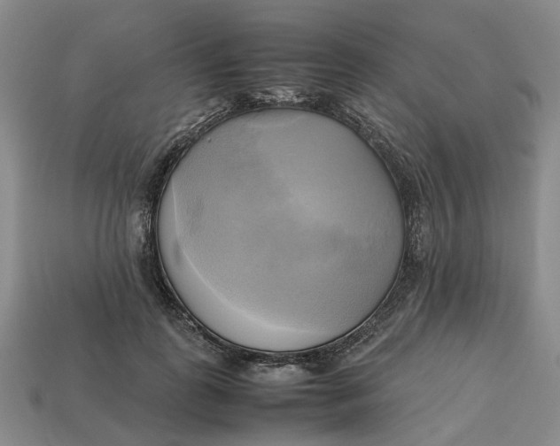 X0000112970747200909171318