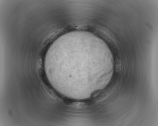 X0000112970748200909171318