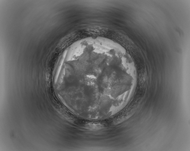 X0000112970749200909171318