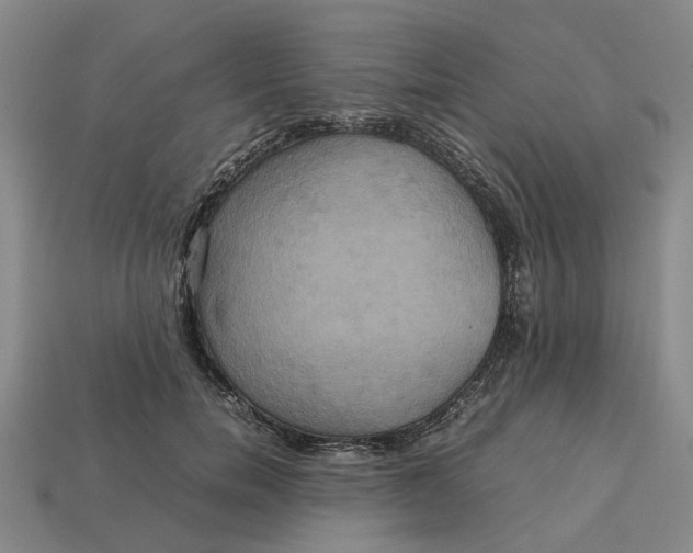 X0000112970750200909171318